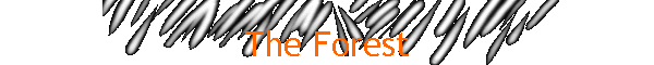 The Forest