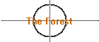 The Forest