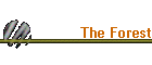The Forest