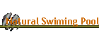 Natural Swiming Pool