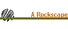 A Rockscape